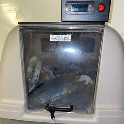New dog incubator with AI kit 300