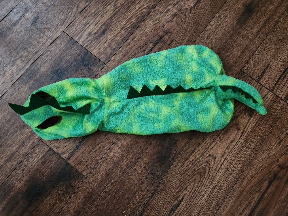 Pet Costume