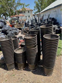 3 Gallon pots $3 each / Botes de 3 galones $3