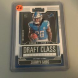 Detroit Lions 