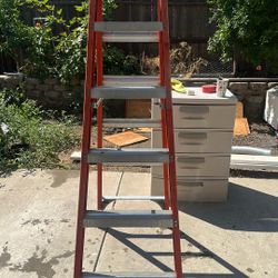 6 Foot Latter  (supports 300lbs)