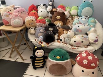 squishmallows & more!