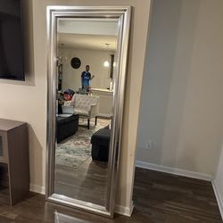 Huge mirror from home goods