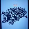 Snapper