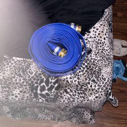 Backwash Hose
