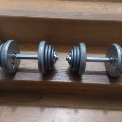 Dumbells Set 55lbs Total