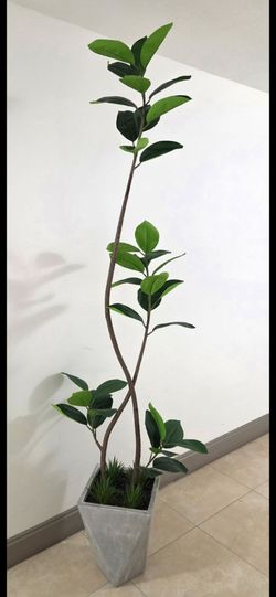 *** SPECIAL *** 8ft Faux Fiddle Leaf Fig Tree with Dragon Blood Stone in a Gray Ceramic Planter @ Lasting Creations