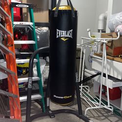 Everlast Punching Bag 