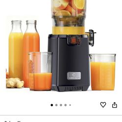 Linkchef slow juicer