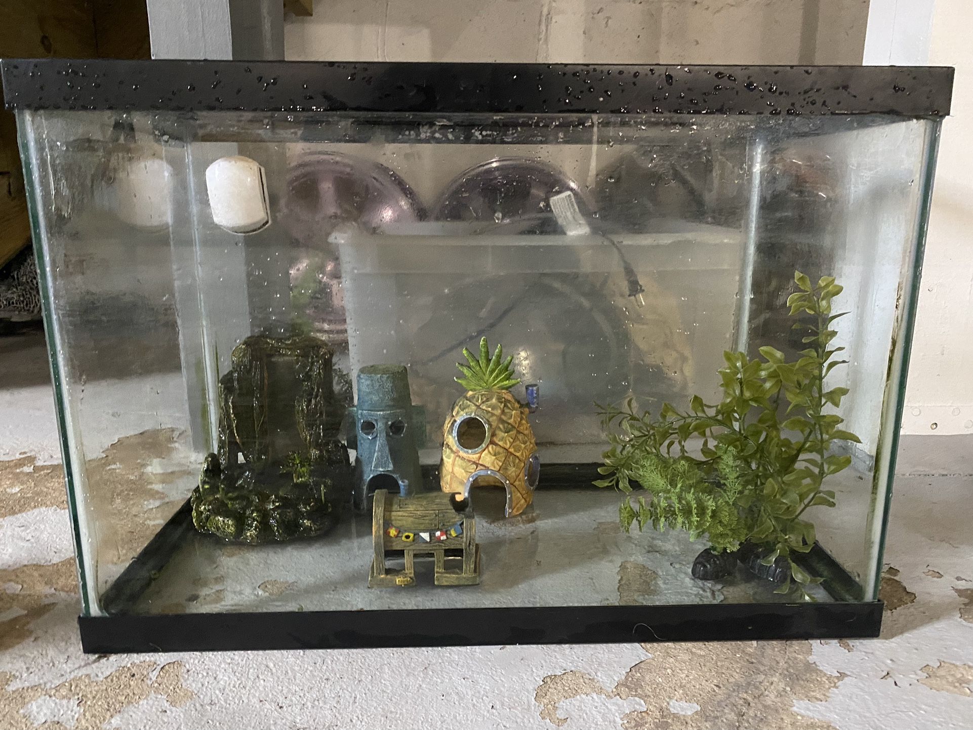 45 Gal Tank With Accessories. Also Goes With 2 Tank Aerators,heat Lamp, And LED day/night Light