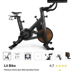 Freebeat Lit Bike