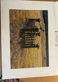 Robert Bateman Signed Limited Edition Print