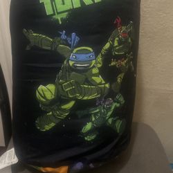Sleeping Bag 