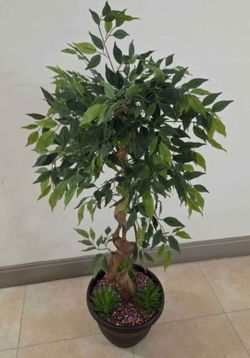 *** PRICE DROP *** 54" Faux Ficus with Bohemian Rainbow Stone / Succulents in a 12" Planter @ Lasting Creations