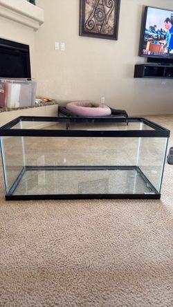 40 gallon tank