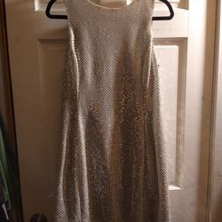 late edition LTD silver sequin sleeveless dress