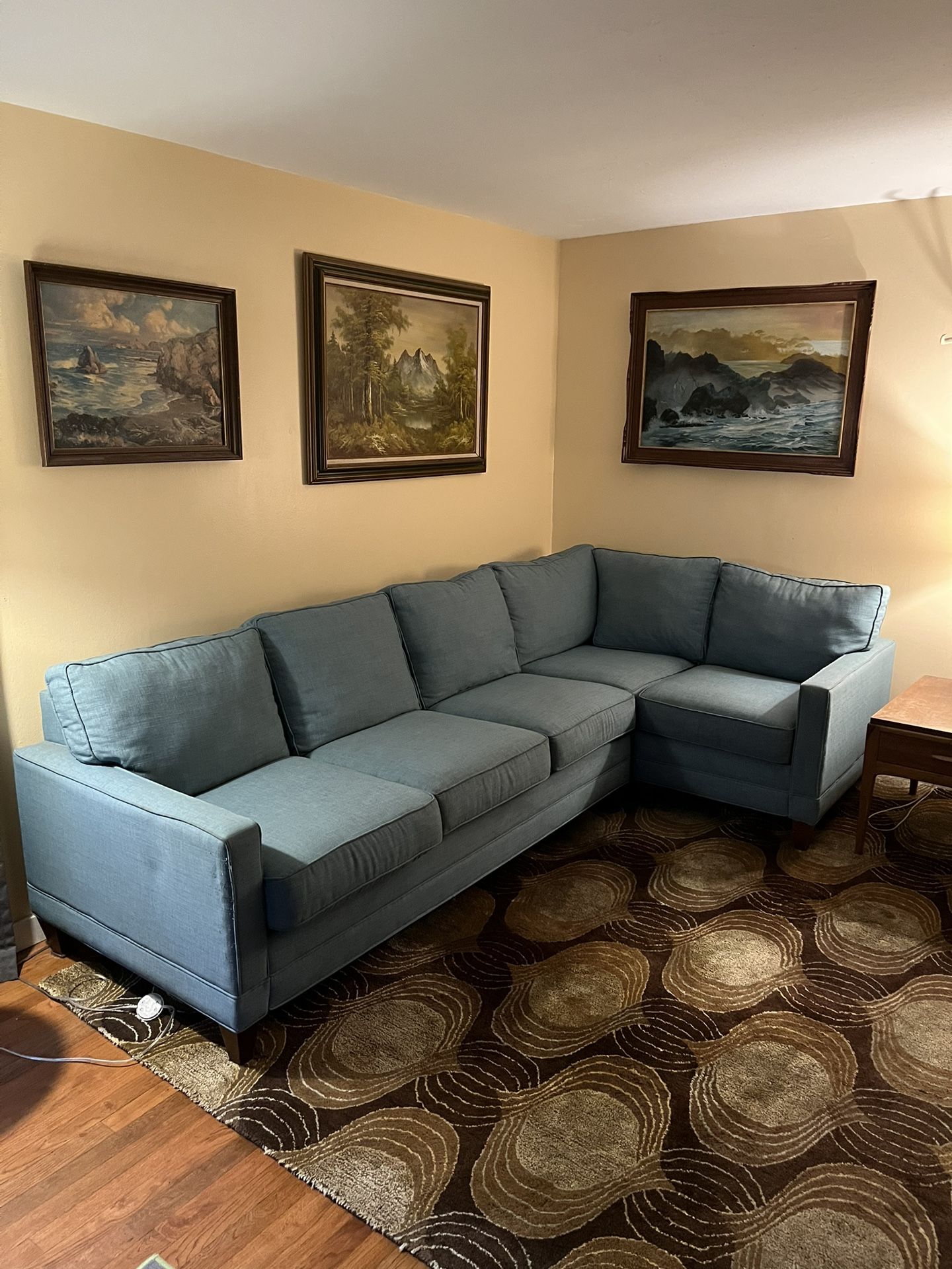 Blue Sectional Couch