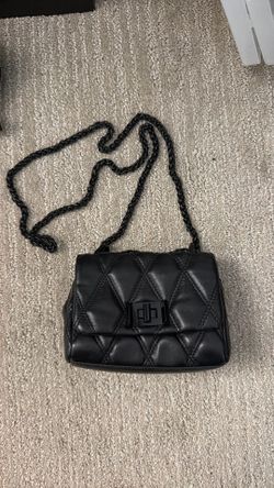 Aldo Mini Purse