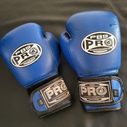 Boxing  Gloves  4 Oz