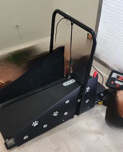 Dog Treadmill with Safety Bar