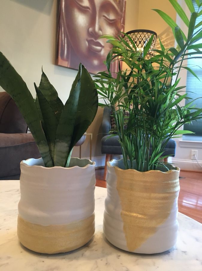 Snake and Polar Palms Plants in a pair of Gold white pots