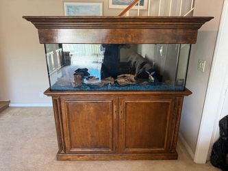 Fish Tank with Stand