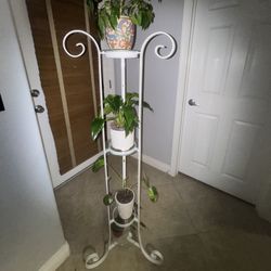 White Plant Stand