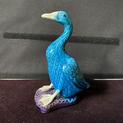 Blue Duck