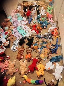 Beanie Baby Lot