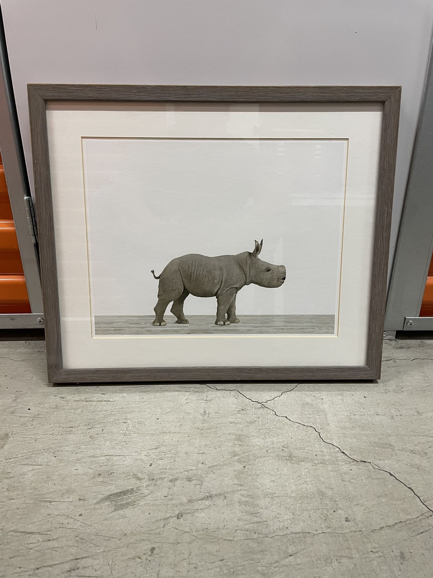 Rhino Picture