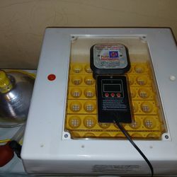41 Egg Incubator And Accessories 