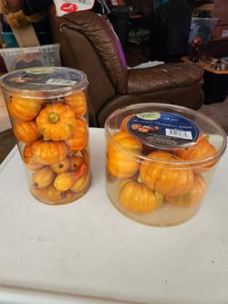 Gently  Used Pumpkin Hollow  8- Pumpkins & 24- Assorted Pumpkins & Ghords