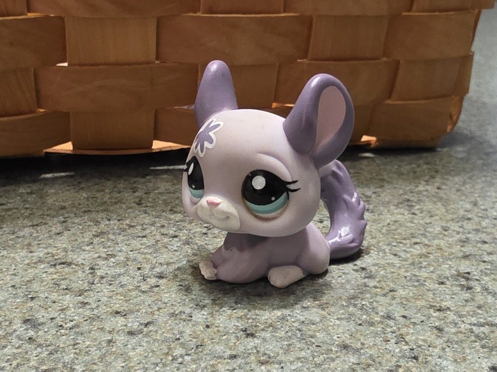 LPS Lilac Chinchilla 
