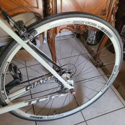 Giant TCR 1800