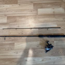 Fishing Rod with Reel