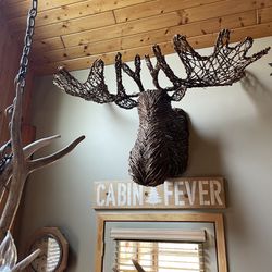 Huge Moosehead Cabin Decor! 