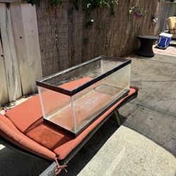 Open-Glass 20 Gallon Aquarium Tank