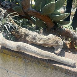 Driftwood Decor - Two Pieces
