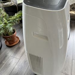 Pelonis® 12,000 BTU 115-Volt Portable Air Conditioner