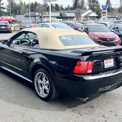 2003 Ford Mustang