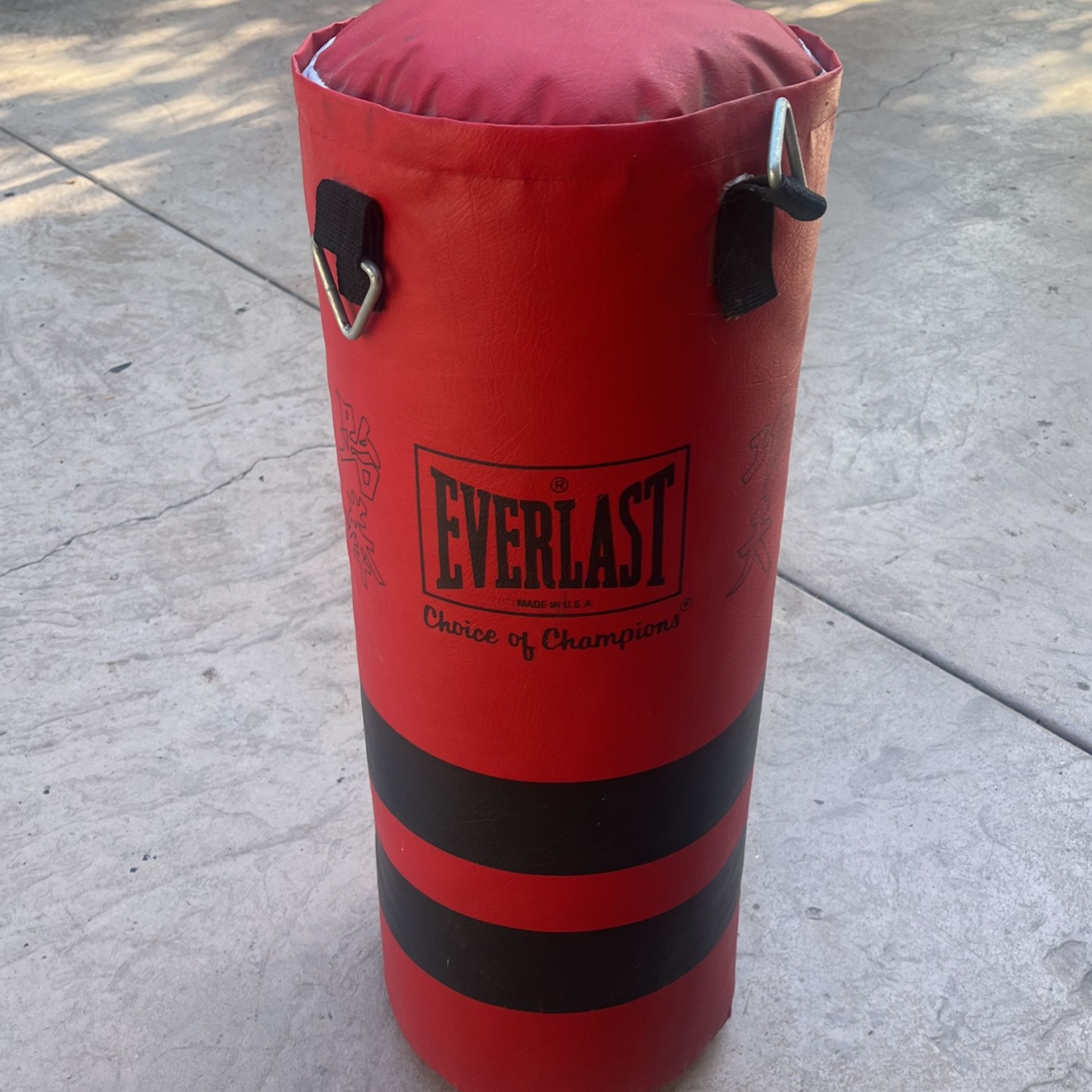 Everlast Punching Bag 