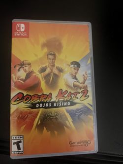 Nintendo Switch Game