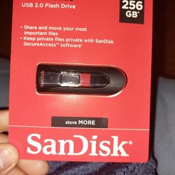 SanDisk 256 GB