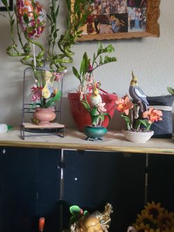 Trees Pajaro De Porcelana