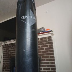Heavy Punching Bag