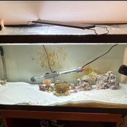 40 Gallon Fish Tank 
