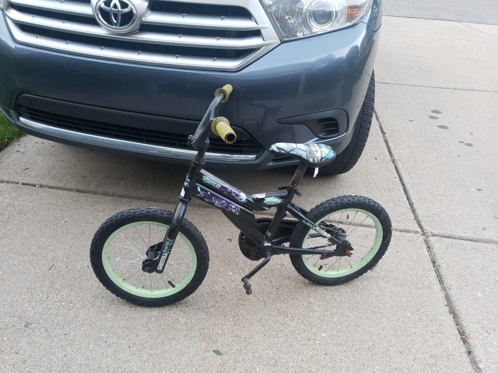 Ninjas In Training Bicycle 16 Inches