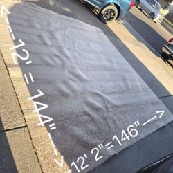 Brand New Carpet $50 
