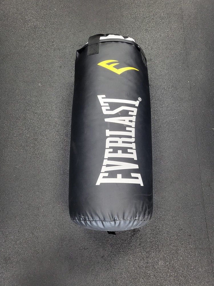 Used Everlast 40lbs Heavy Punching Bag