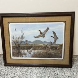 Duck Prints And Federal Duck Stamp